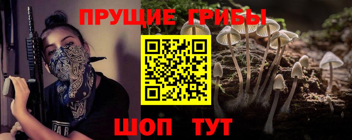 Псилоцибиновые грибы MAGIC MUSHROOMS Отрадное